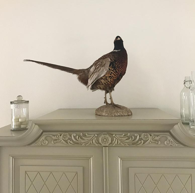 Vita Huset B&B Soelvesborg 外观 照片